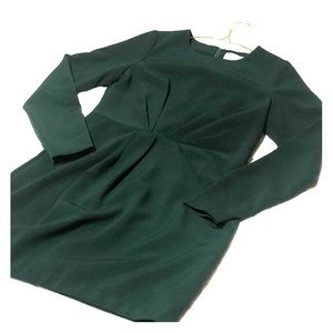 Gorgeous long sleeve mini-dress. Worn once!